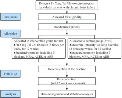 Safety and effects of a home-based Tai Chi exercise rehabilitation program in patients with chronic heart failure: study protocol for a randomized controlled trial